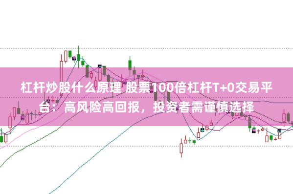 杠杆炒股什么原理 股票100倍杠杆T+0交易平台：高风险高回报，投资者需谨慎选择