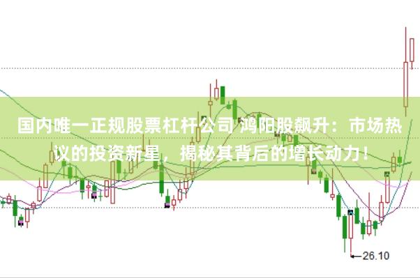 国内唯一正规股票杠杆公司 鸿阳股飙升：市场热议的投资新星，揭秘其背后的增长动力！