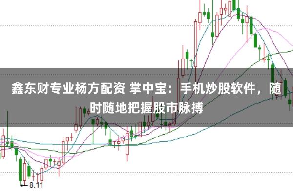 鑫东财专业杨方配资 掌中宝：手机炒股软件，随时随地把握股市脉搏