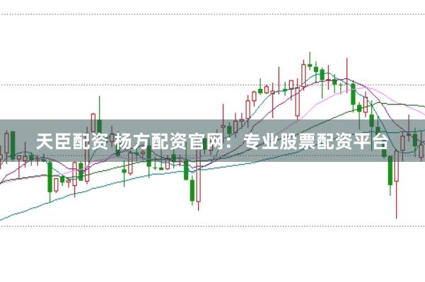 天臣配资 杨方配资官网：专业股票配资平台