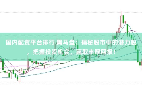 国内配资平台排行 黑马盘：揭秘股市中的潜力股，把握投资机会，赢取丰厚回报！