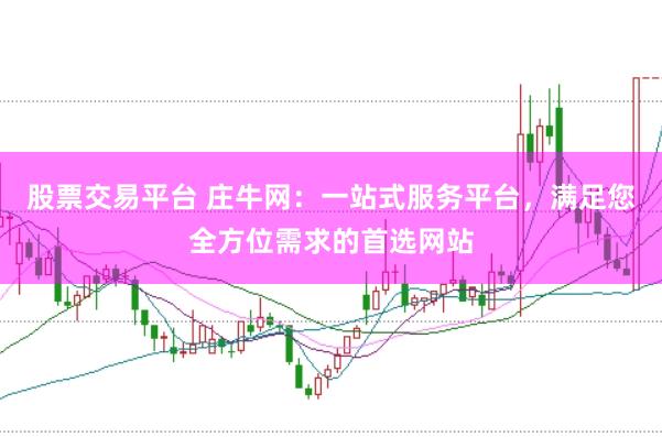 股票交易平台 庄牛网：一站式服务平台，满足您全方位需求的首选网站