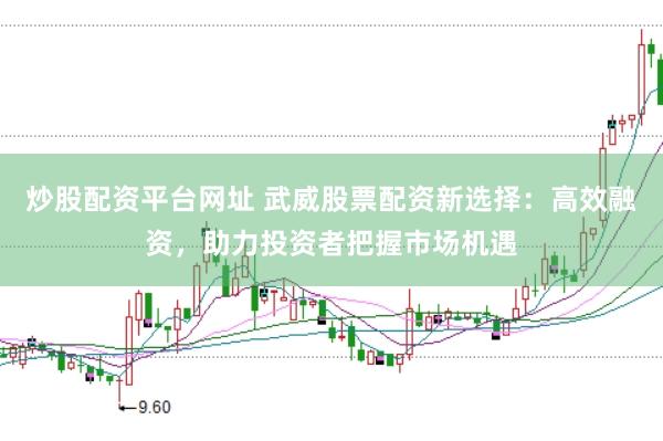 炒股配资平台网址 武威股票配资新选择：高效融资，助力投资者把握市场机遇