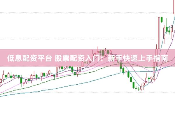 低息配资平台 股票配资入门：新手快速上手指南