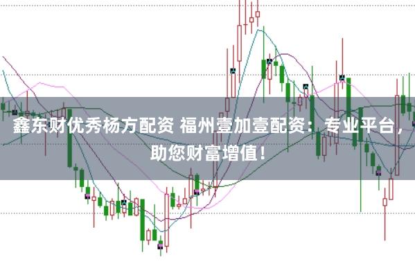 鑫东财优秀杨方配资 福州壹加壹配资：专业平台，助您财富增值！