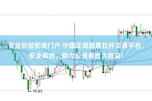 专业炒股配资门户 中国正规股票杠杆交易平台，安全高效，助力投资者放大收益！