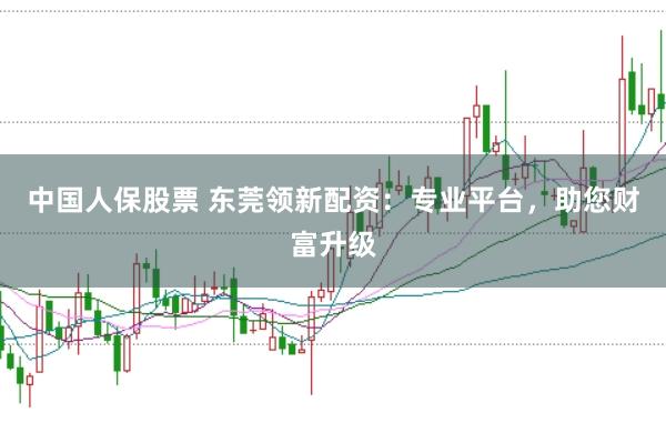 中国人保股票 东莞领新配资：专业平台，助您财富升级