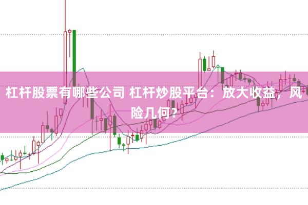 杠杆股票有哪些公司 杠杆炒股平台：放大收益，风险几何？