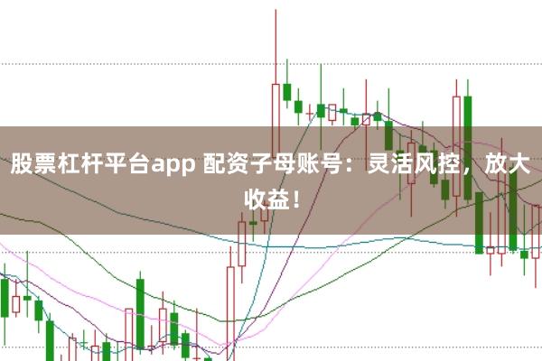 股票杠杆平台app 配资子母账号:灵活风控,放大收益!