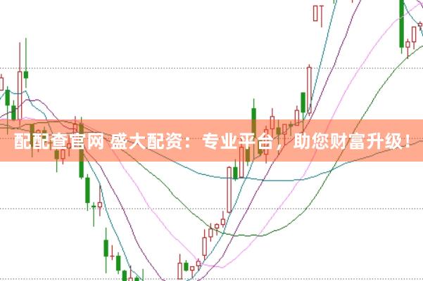 配配查官网 盛大配资：专业平台，助您财富升级！