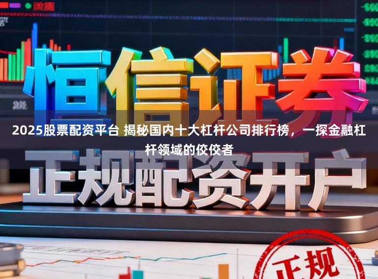 2025股票配资平台 揭秘国内十大杠杆公司排行榜，一探金融杠杆领域的佼佼者