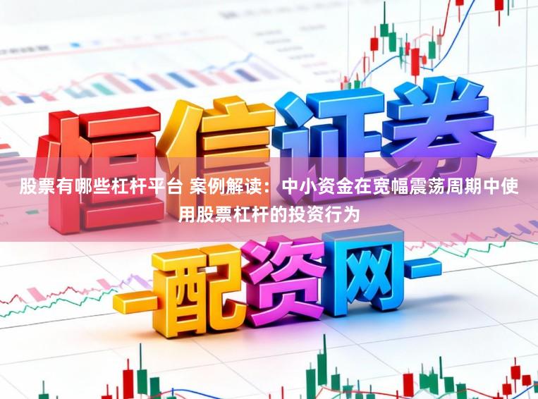 股票有哪些杠杆平台 案例解读：中小资金在宽幅震荡周期中使用股票杠杆的投资行为